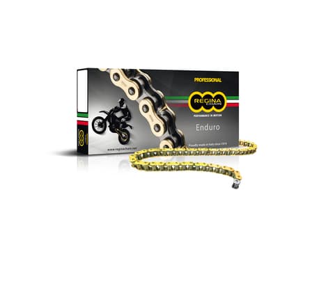 Regina 520 ZSE Z-ring chain + Connecting link