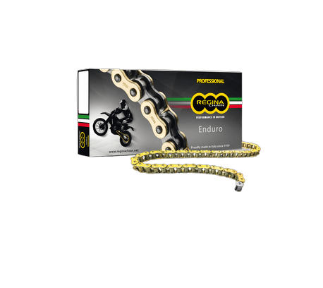Regina 520 ZSE Z-ring chain + Connecting link